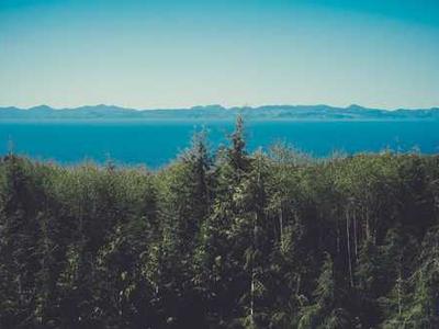  发布新的文章发布后，为什么百度关键词排名会突然消失？